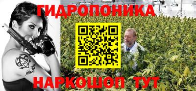 амф Анапа