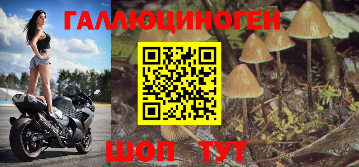 Псилоцибиновые грибы GOLDEN TEACHER  Псилоцибиновые грибы Magic Shrooms  Вход с VPN  Россошь 